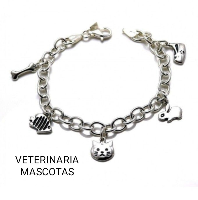 Pulsera de plata Profesiones